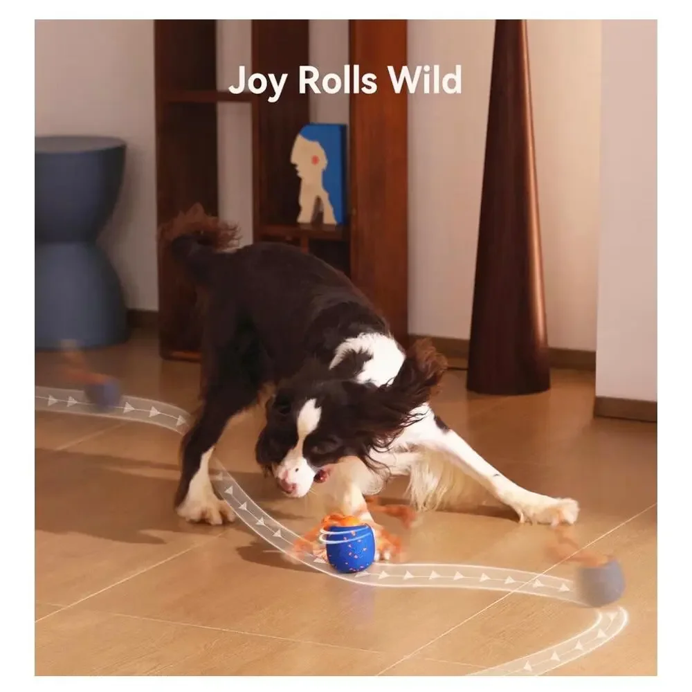 Cheerble Smart Interactive Dog Toy, Wicked Ball Rolly, Automatic Moving (C156)